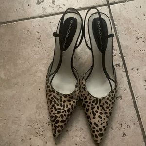 Leopard print classy heels